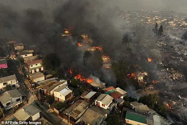 Chilean Police Accuse 39-Year-Old Former Firefighter of Causing Massive Forest Fire near Viña del Mar that Resulted in 137 Deaths