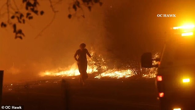 California Woman Emerges from Devastating Orange County Wildfire Flames to Seek Help from Firefighters as State Struggles with Widespread Displacement