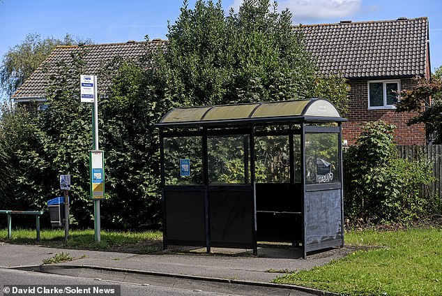 Netley Villagers Protest After 82-Year-Old Man Seen Crawling Up Hill Due to Bus Route Alterations