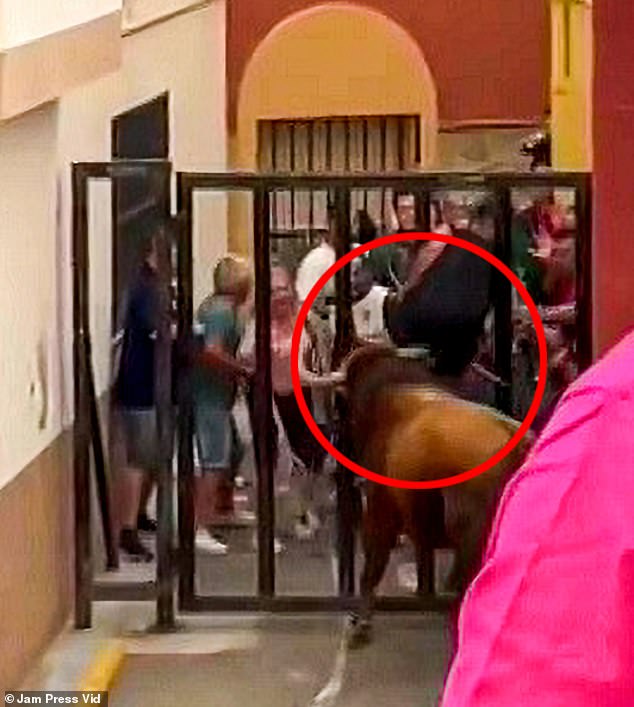 64-Year-Old Man Suffers Severe Injuries After Being Gored by Bull During Traditional Bull-Running Event in La Vall d’Uixó, Spain