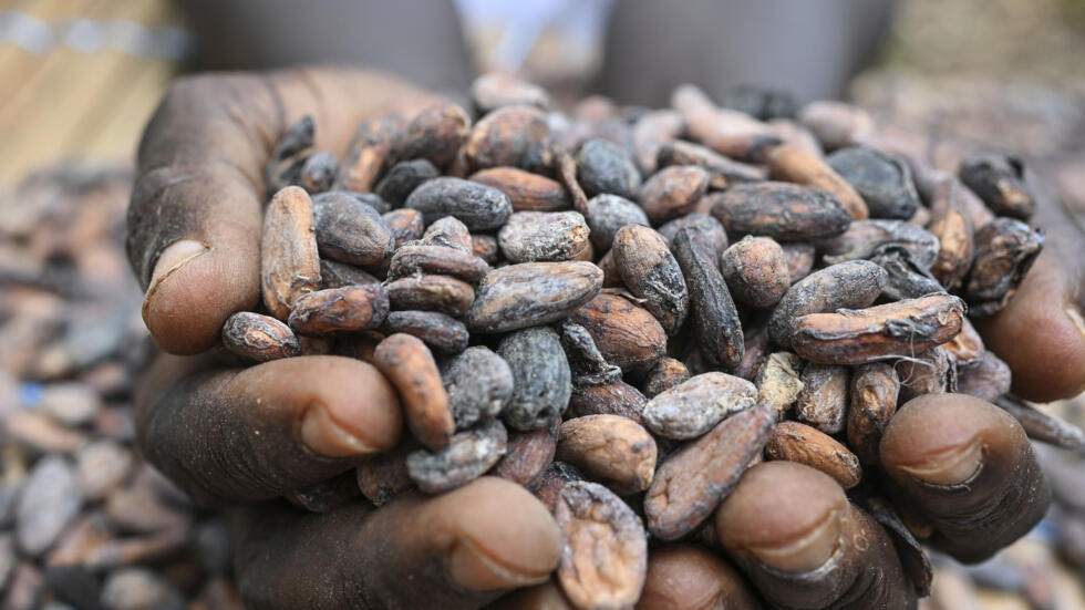 South Africa’s chocolate prices expected to rise as Ghana increases cocoa farm gate price to tackle smuggling and support local farmers