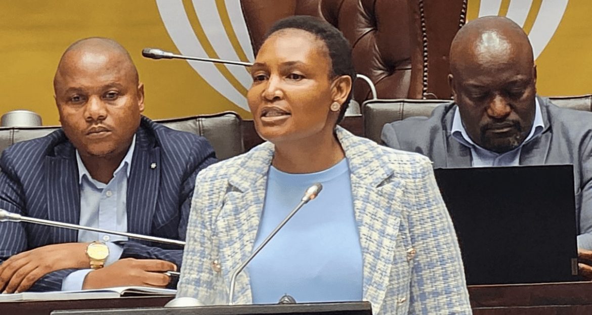 South African Justice Minister Thembi Simelane Faces Parliamentary Questions Over Loan from Gundo Wealth Solutions Linked to VBS Scandal