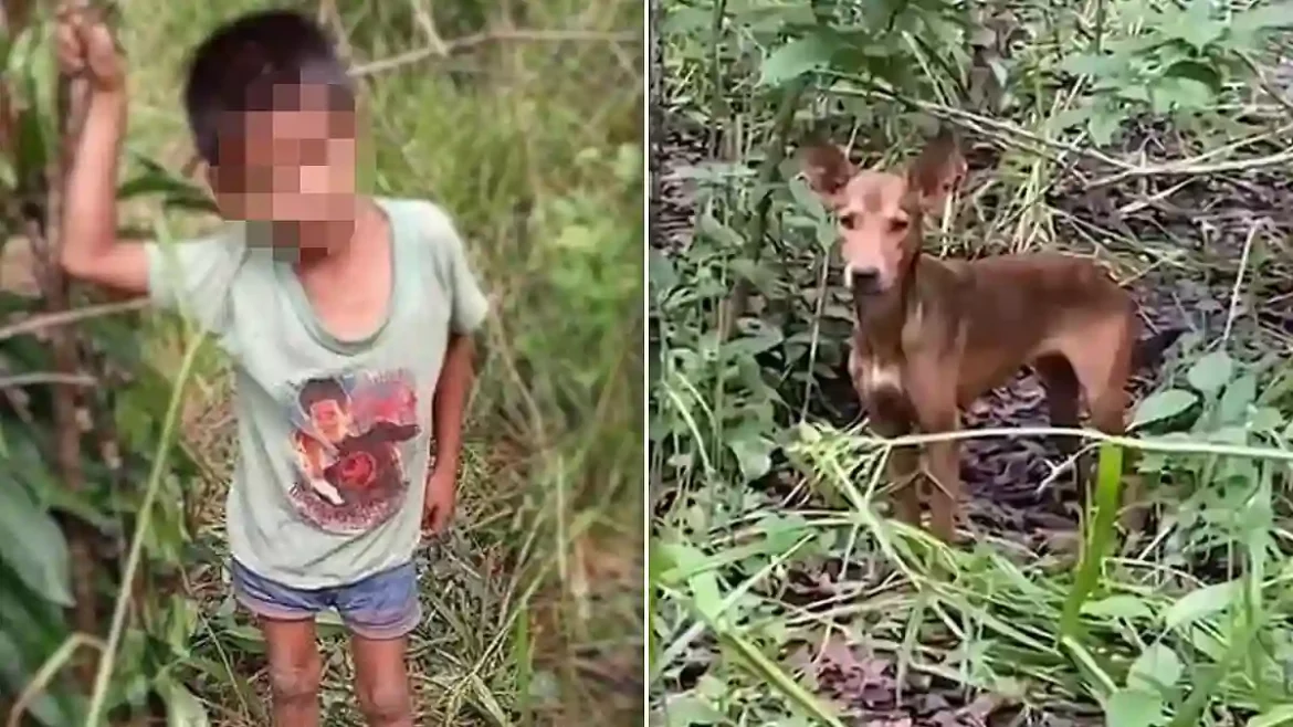 Nine-Year-Old Boy Survives Six Days Lost in Mexican Jungle After Running Away from Home in Campeche During Hurricane Milton