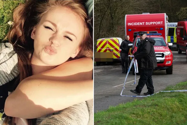 Tragic Incident in Surrey Leads to Calls for Stricter Dog-Walking Policies After Natasha Johnston’s Fatal Attack by a Pack of Dogs