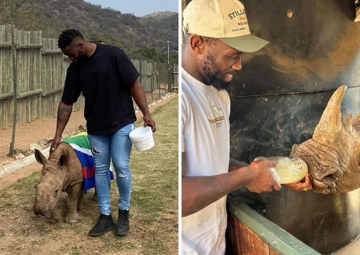 Springbok Captain Siya Kolisi’s Special Bond with Daisy the Rhino Shines Through During Emotional Visit to Care For Wild Sanctuary in Mpumalanga After Victory Against Argentina