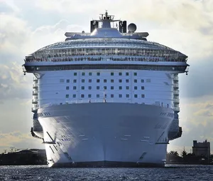 Chaos Erupts Among 400 Guests on Allure of the Seas After 66-Year-Old Woman Leaps from 14th Deck While Vacationing in the Bahamas