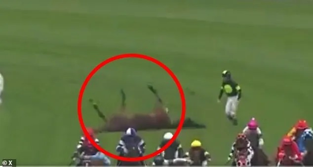 Jockey Jason Collett Showcases Extraordinary Bravery After Horse Think About It Suffers a Harrowing Fall at Sydney’s Royal Randwick Racecourse