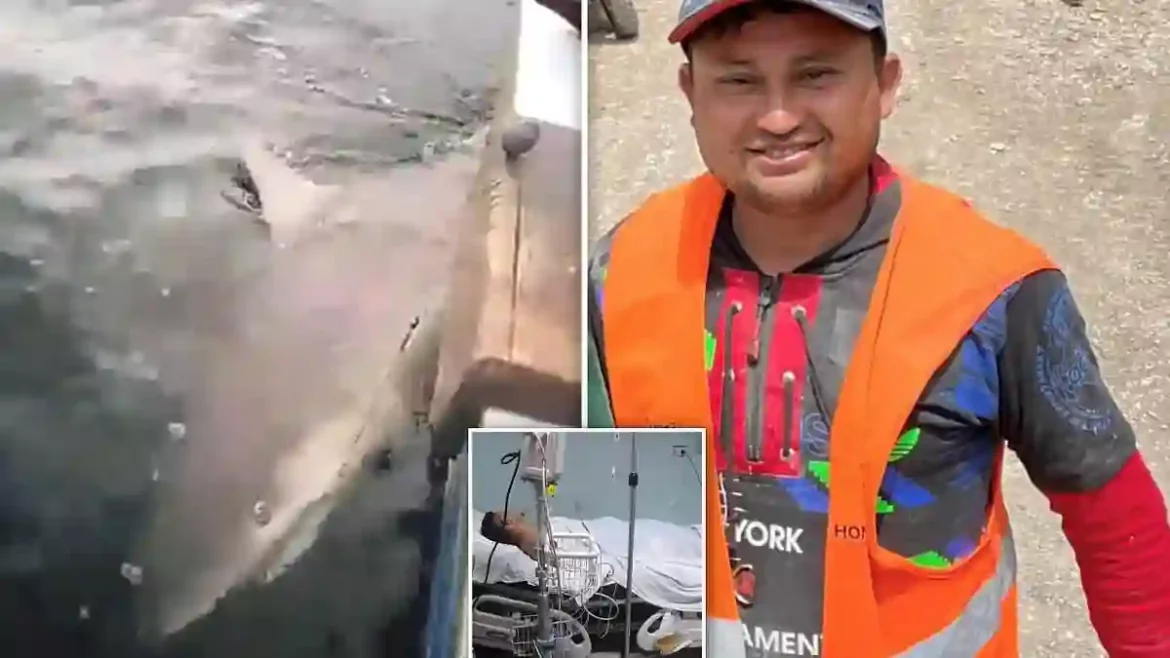 Vicious Shark Attack on Tela Beach Turns Into a Hunt for Vengeance as Honduran Locals Track and Beat the Predator After Farmer’s Narrow Escape